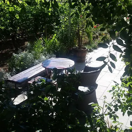 Guest house Dimovi *